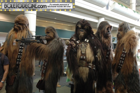 celebration VI pic 19